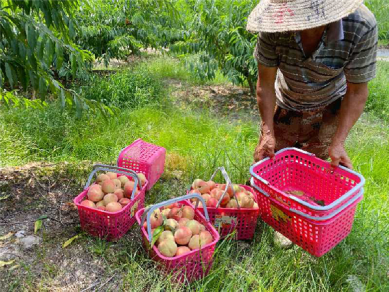 图片2.png 图片2.png