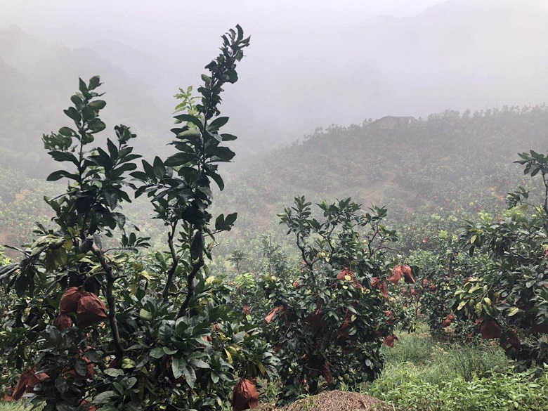 d9b5793d98fd40db99846461e3dc9787.jpg d9b5793d98fd40db99846461e3dc9787.jpg